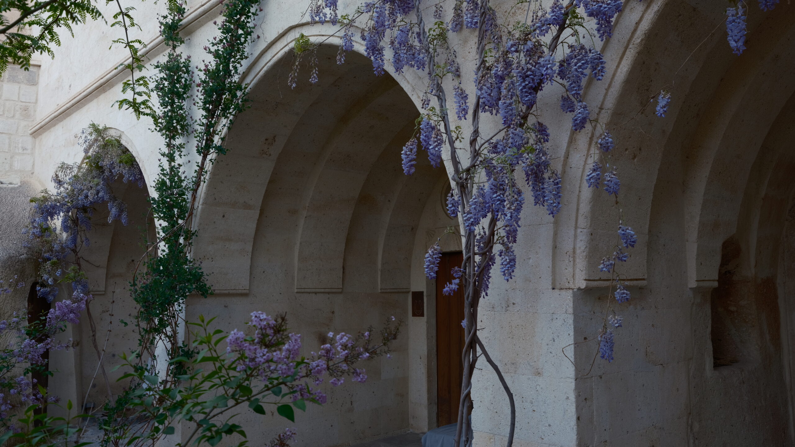 The garden arcade at Aya Kapadokya, with wisteria over the arches.